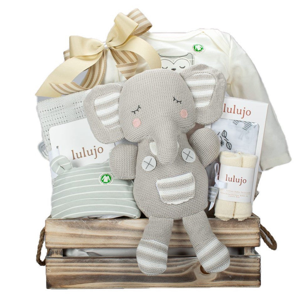 Luxury Baby Gift Baskets: Spoiling the Newborn