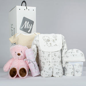 Pink Baby Teddy With Gift Set