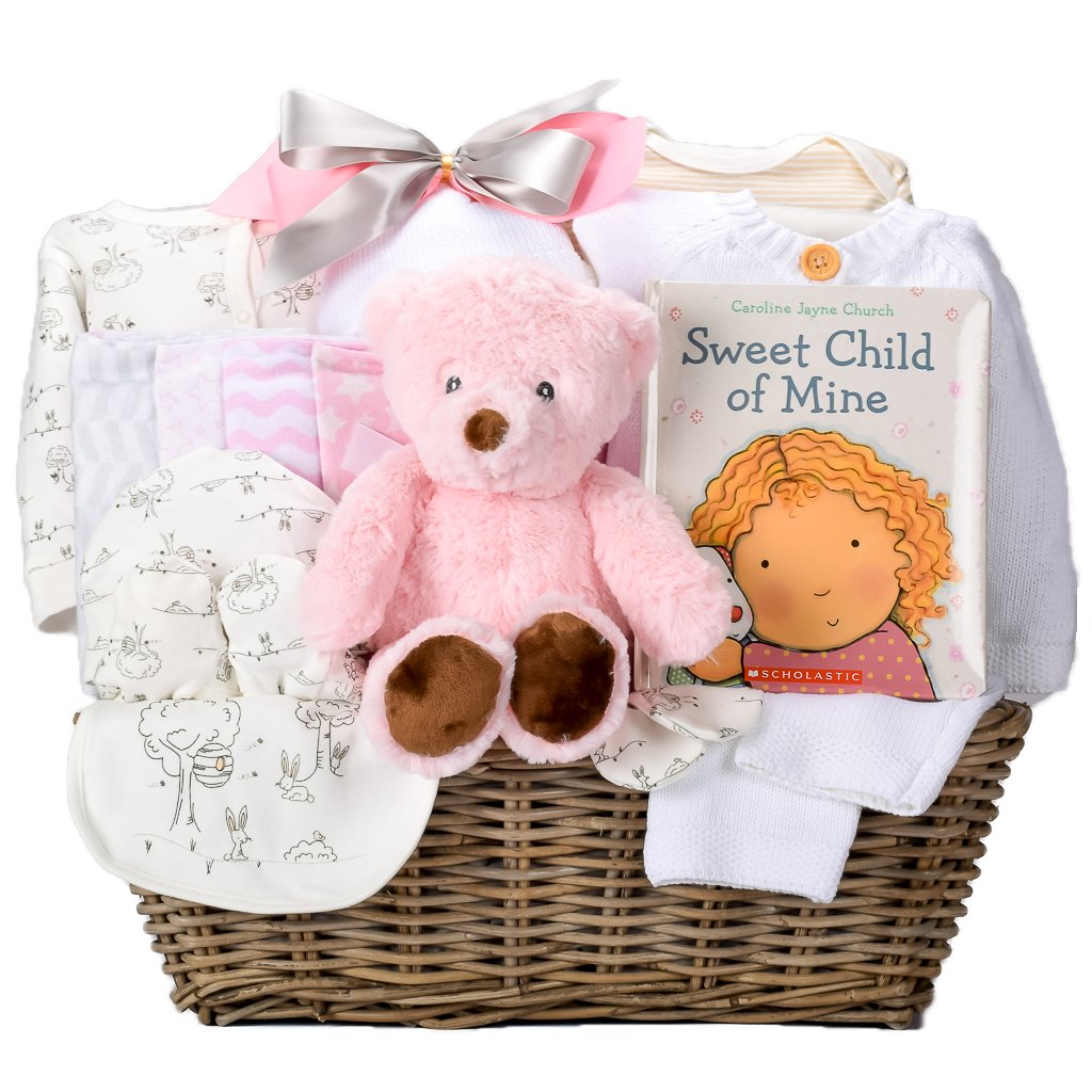 Precious Newborn Girl Gift Basket